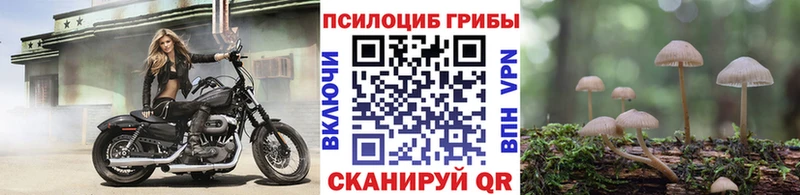 Псилоцибиновые грибы ЛСД  Купить  Острогожск 